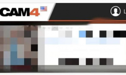 91成人性直播网站免费,免费体验背后的真相