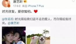 我靠吃瓜成为娱乐圈瓜神,揭秘“吃瓜神”如何成为娱乐圈风云人物