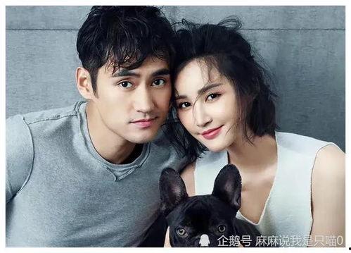 娱乐圈吃瓜爆料贾玲是谁