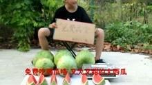 搞笑娱乐吃瓜视频大全